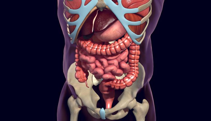 Síndrome de Intestino Corto