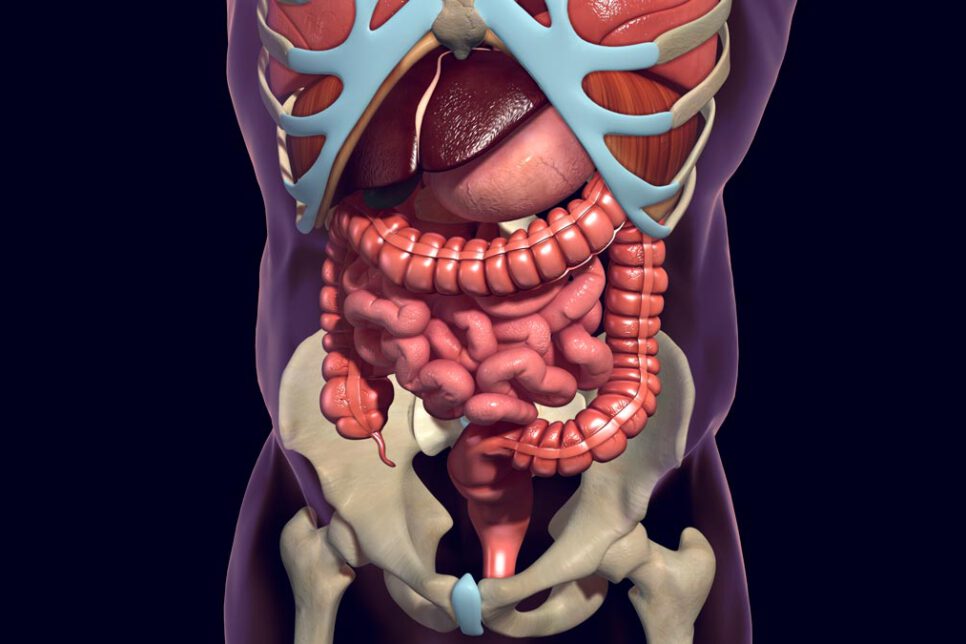 Síndrome de Intestino Corto